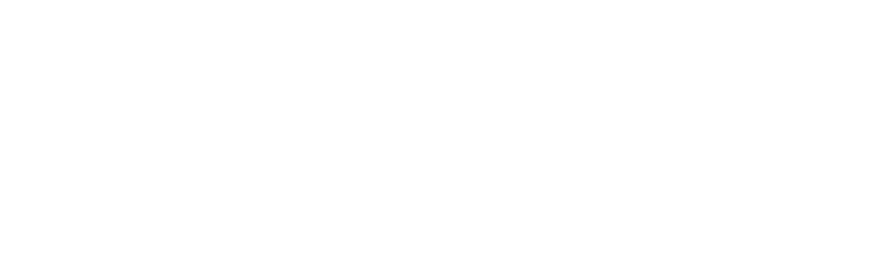 ZEROICE JAPAN